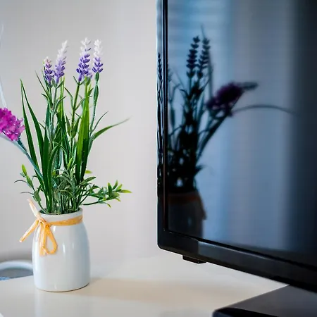 梵蒂冈丝蒂玛公寓 *